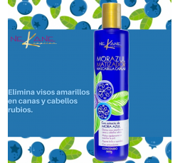 Mascarilla Matizante Mora Azul Nekane 300g